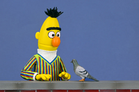 NECA SESAME STREET - ULTIMATE BERT 7” SCALE ACTION FIGURE