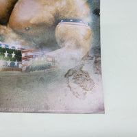 WWE Lex Luthor Printed Photograph