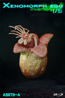 ASToys: 1/6 Xenomorph Egg Resin Statue (Brown)