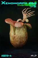 ASToys: 1/6 Xenomorph Egg Resin Statue (Brown)