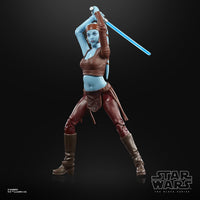 Hasbro Star Wars The Black Series Aayla Secura 6-Inch Action Figure