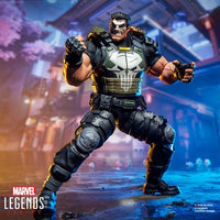 Hasbro Marvel Legends Series Marvel Rivals The Punisher 6-Inch Action Figure