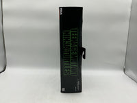 NECA Teenage Mutant Ninja Turtles Casey Jones and Raphael (in Disguise) Action Figure 2-Pack