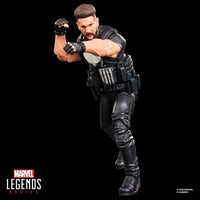 Hasbro Marvel Legends Series The Punisher 6-Inch Action Figure