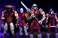 NECA Teenage Mutant Ninja Turtles Worms of Madness Shredder (Mirage Comics) Action Figure Two-Pack