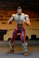 NECA Teenage Mutant Ninja Turtles Worms of Madness Shredder (Mirage Comics) Action Figure Two-Pack