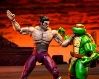 NECA Teenage Mutant Ninja Turtles Worms of Madness Shredder (Mirage Comics) Action Figure Two-Pack
