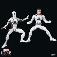 Hasbro Marvel Legends Series Future Foundation Mister Fantastic & Spider-Man 6-Inch Action Figures
