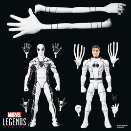 Hasbro Marvel Legends Series Future Foundation Mister Fantastic & Spider-Man 6-Inch Action Figures