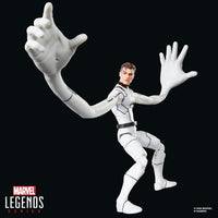Hasbro Marvel Legends Series Future Foundation Mister Fantastic & Spider-Man 6-Inch Action Figures