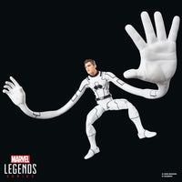 Hasbro Marvel Legends Series Future Foundation Mister Fantastic & Spider-Man 6-Inch Action Figures