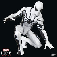 Hasbro Marvel Legends Series Future Foundation Mister Fantastic & Spider-Man 6-Inch Action Figures