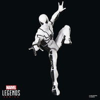 Hasbro Marvel Legends Series Future Foundation Mister Fantastic & Spider-Man 6-Inch Action Figures