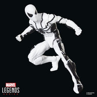 Hasbro Marvel Legends Series Future Foundation Mister Fantastic & Spider-Man 6-Inch Action Figures