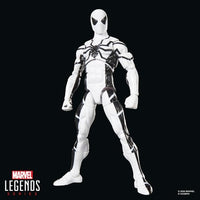 Hasbro Marvel Legends Series Future Foundation Mister Fantastic & Spider-Man 6-Inch Action Figures