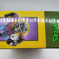 NECA Teenage Mutant Ninja Turtles Vacation Bebop and Vacation Rocksteady Action Figure 2-Pack