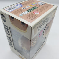 Funko Pop! 2024 Limited Edition Festival Release Doja Cat (Flocked) #413